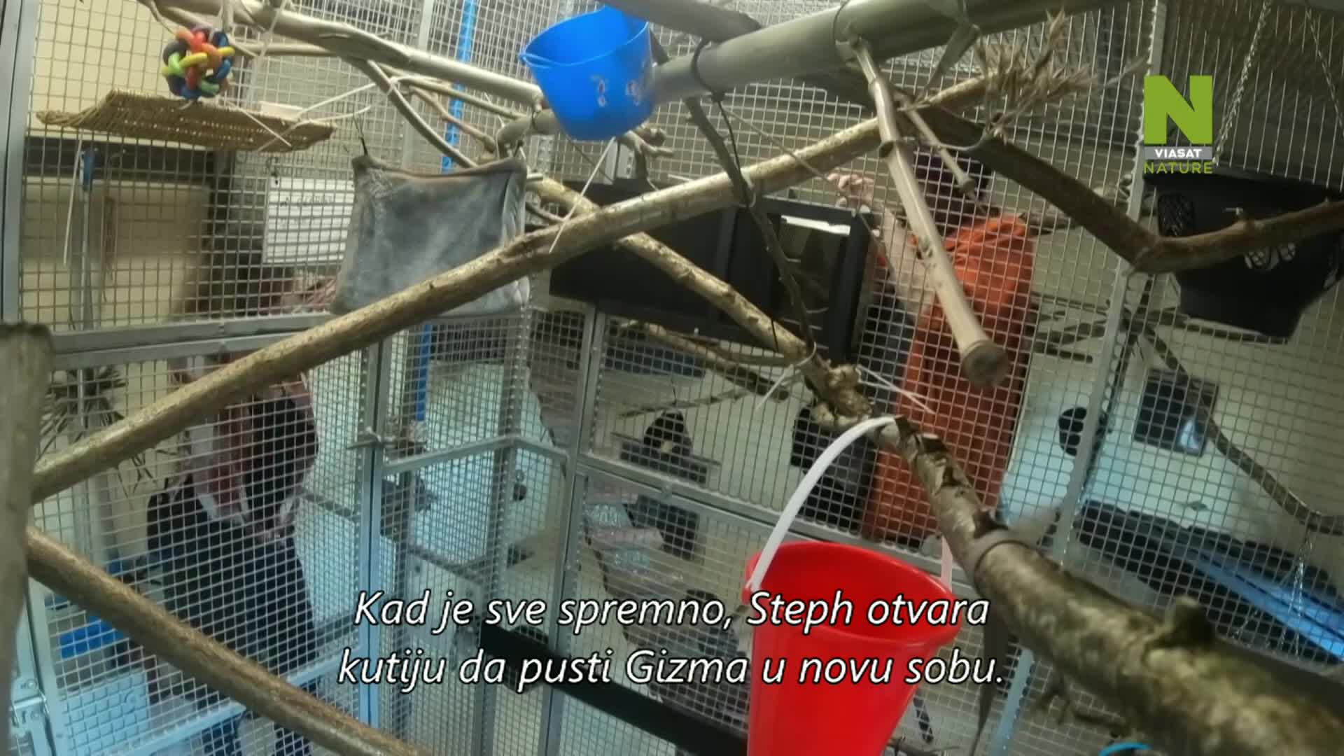 ViasatNature