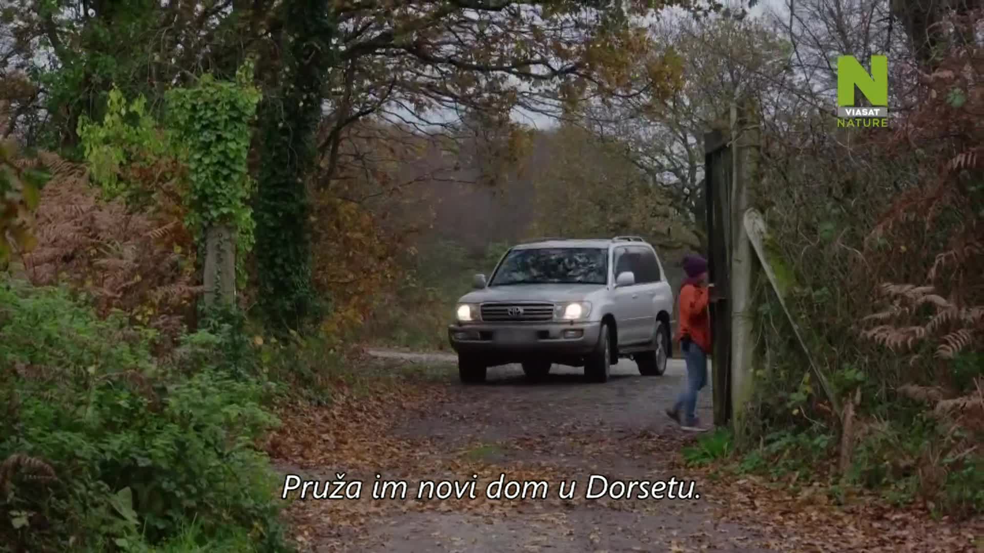 ViasatNature