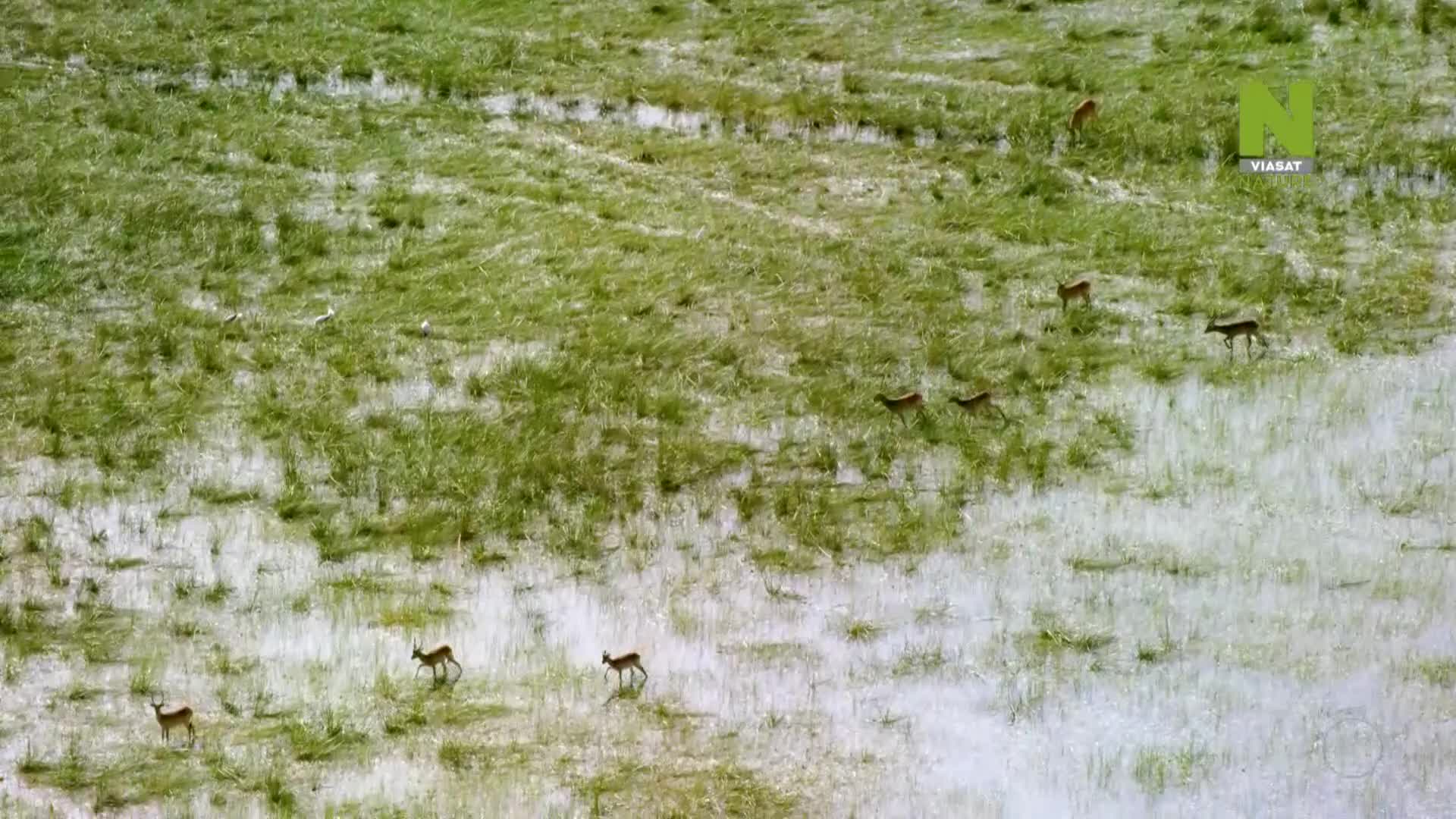 ViasatNature