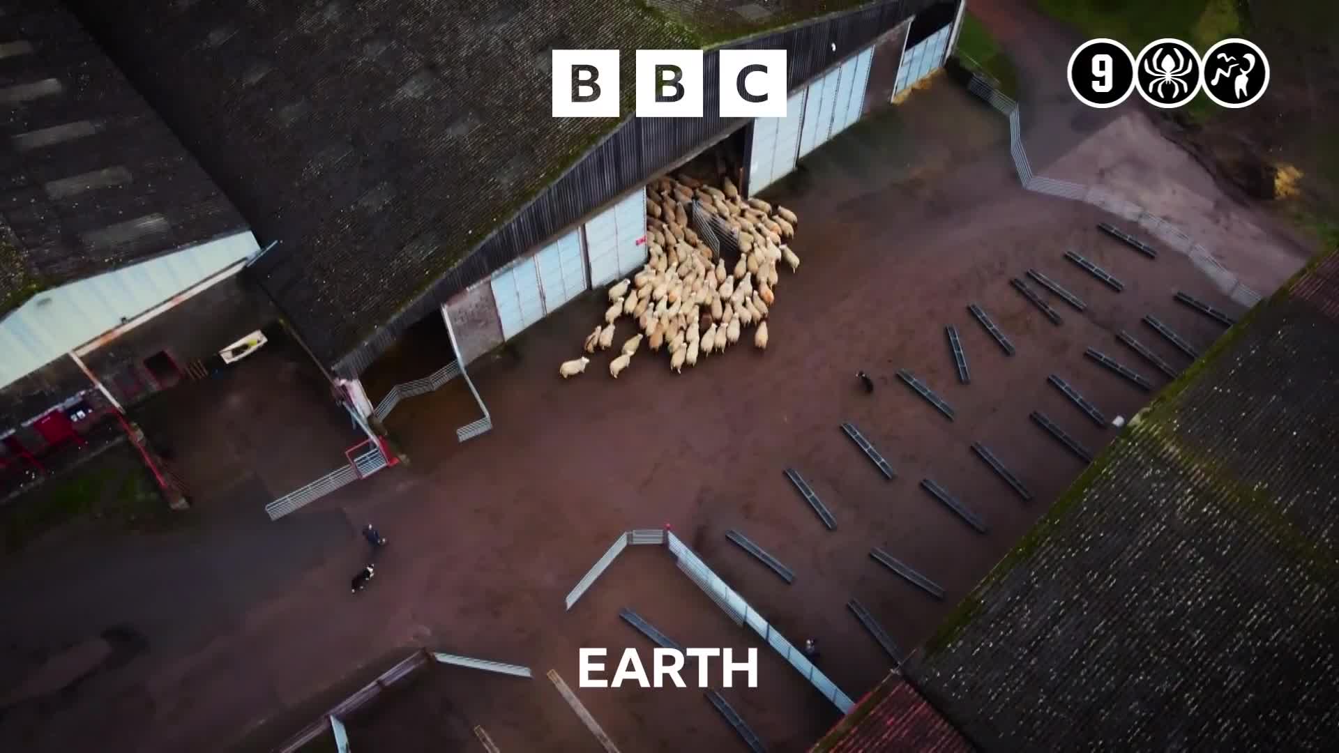 BBCEarth