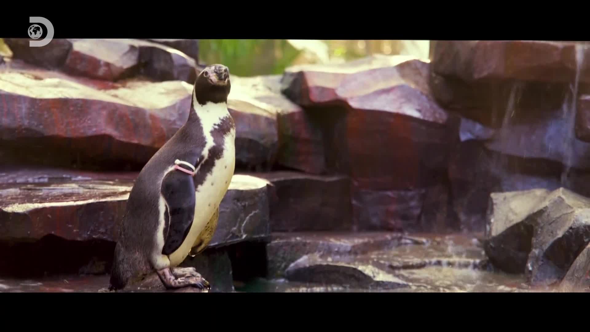 ViasatExplorer