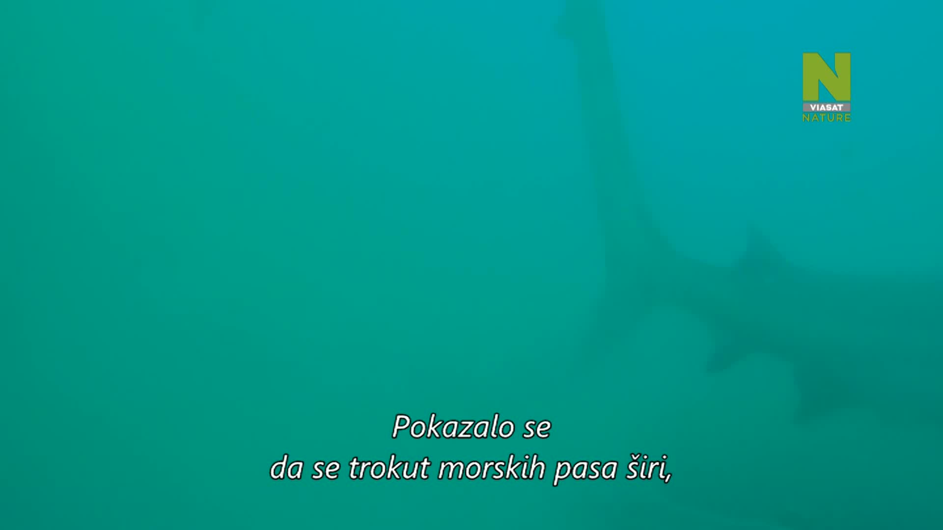 ViasatNature