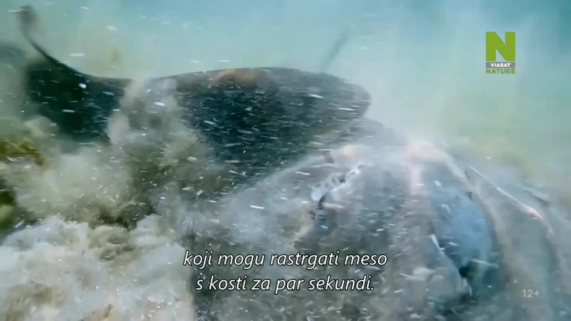 ViasatNature