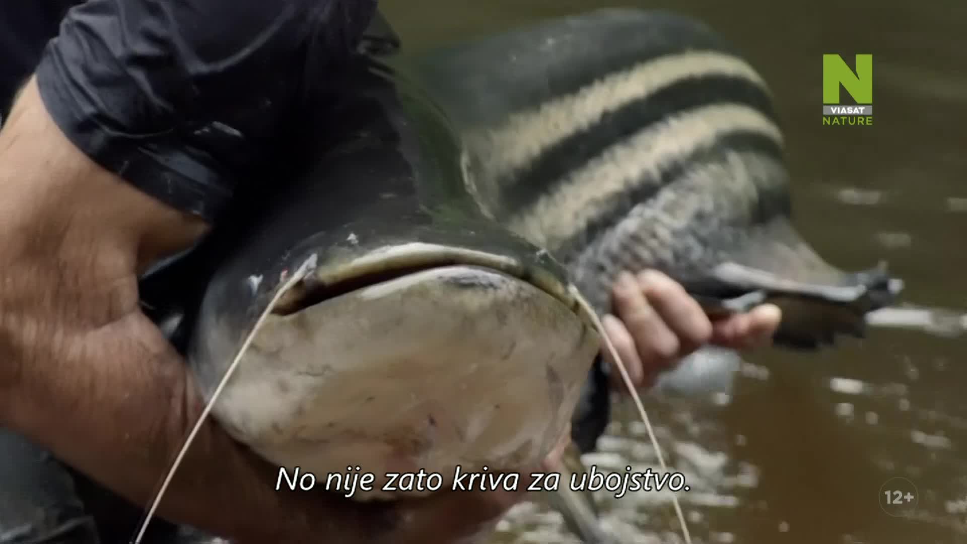 ViasatNature
