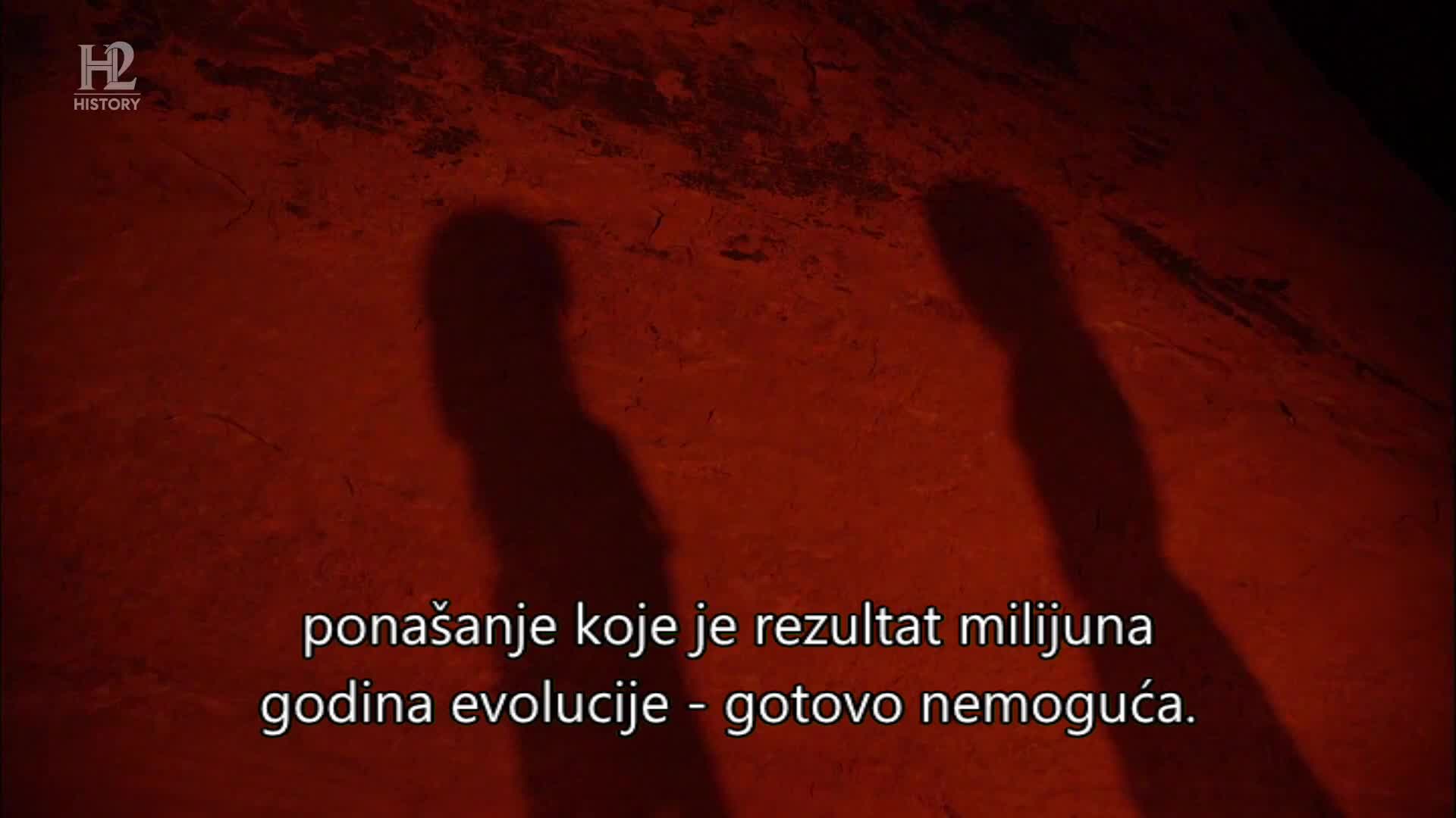 History2