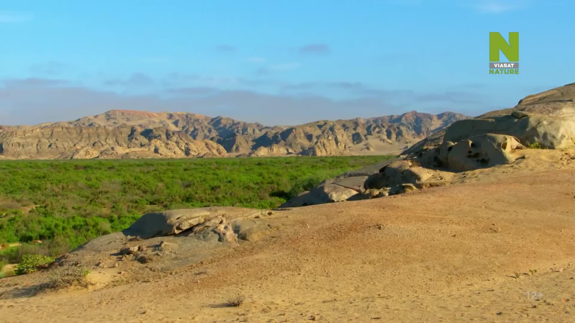 ViasatNature