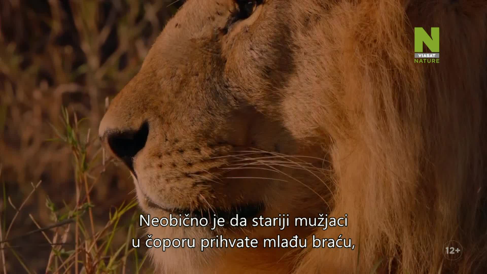 ViasatNature
