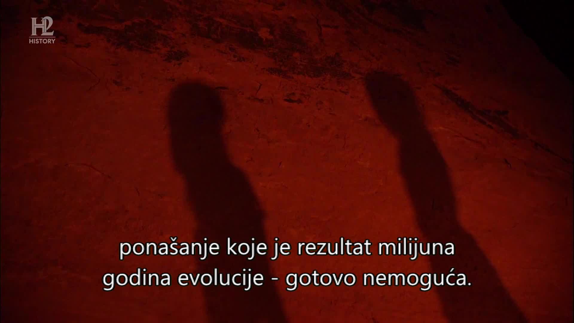 History2