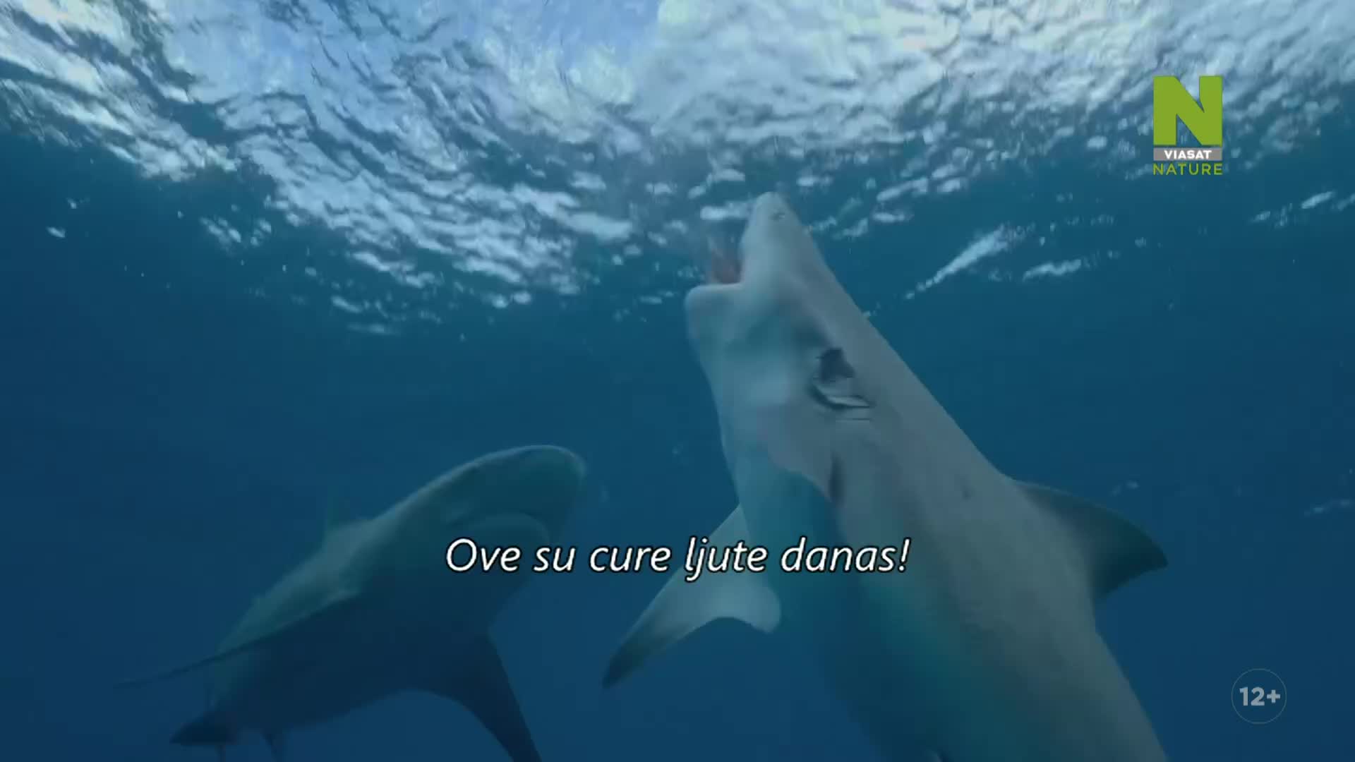 ViasatNature