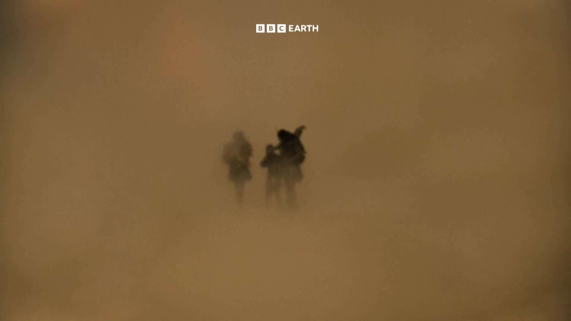 BBCEarth