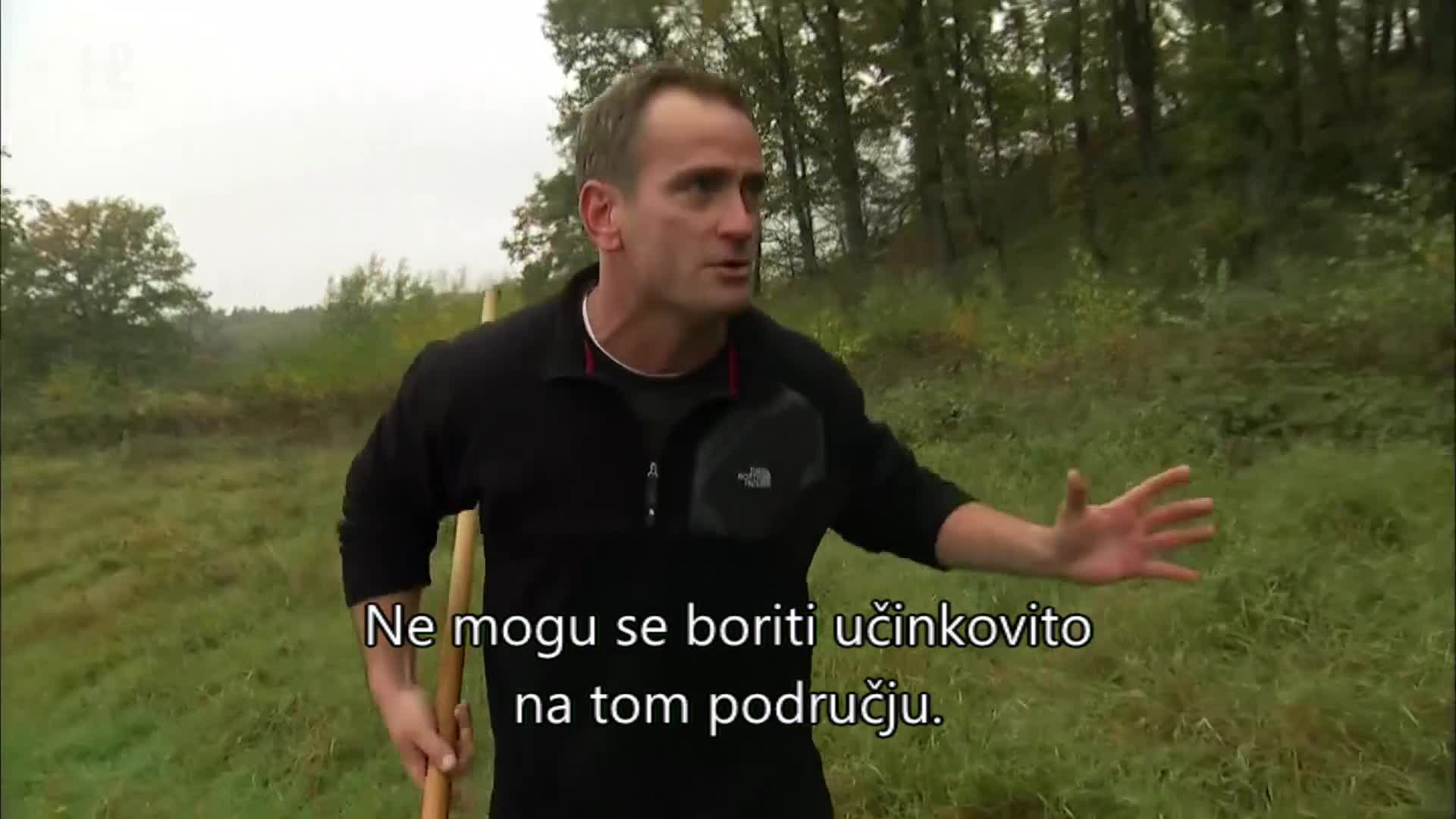 History2