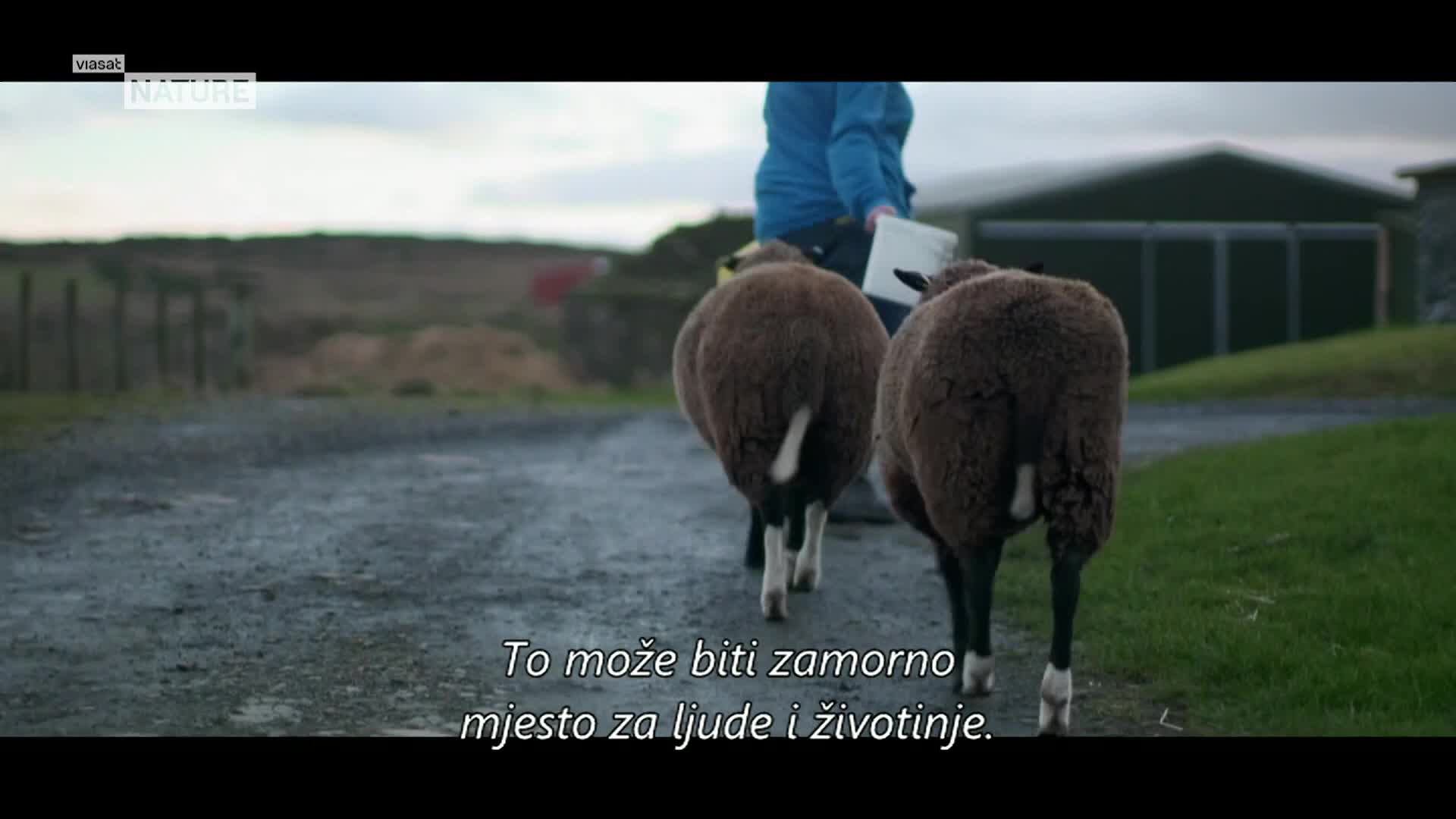 ViasatNature