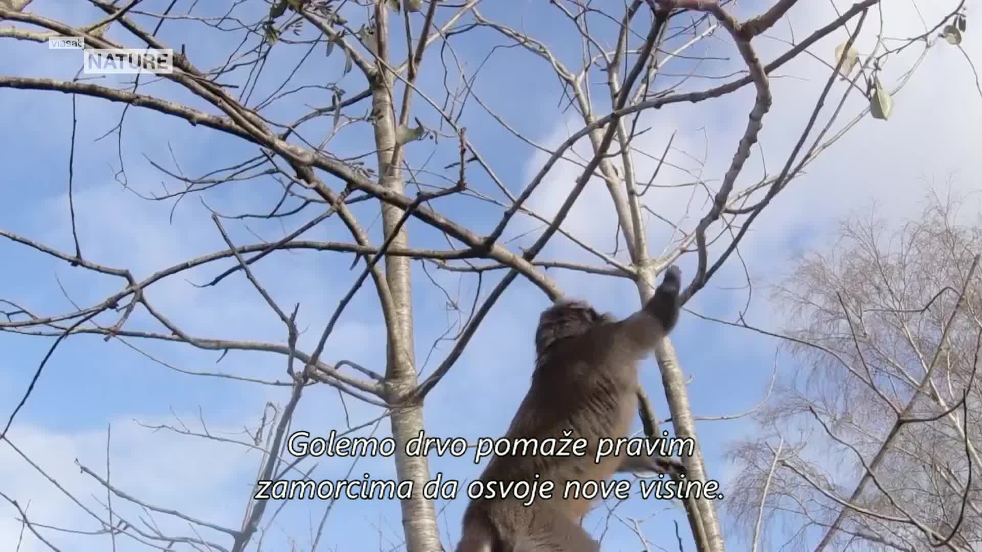 ViasatNature