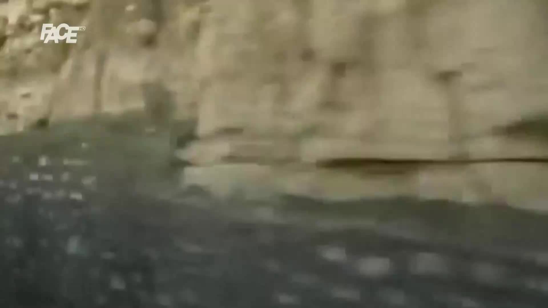 FaceTV