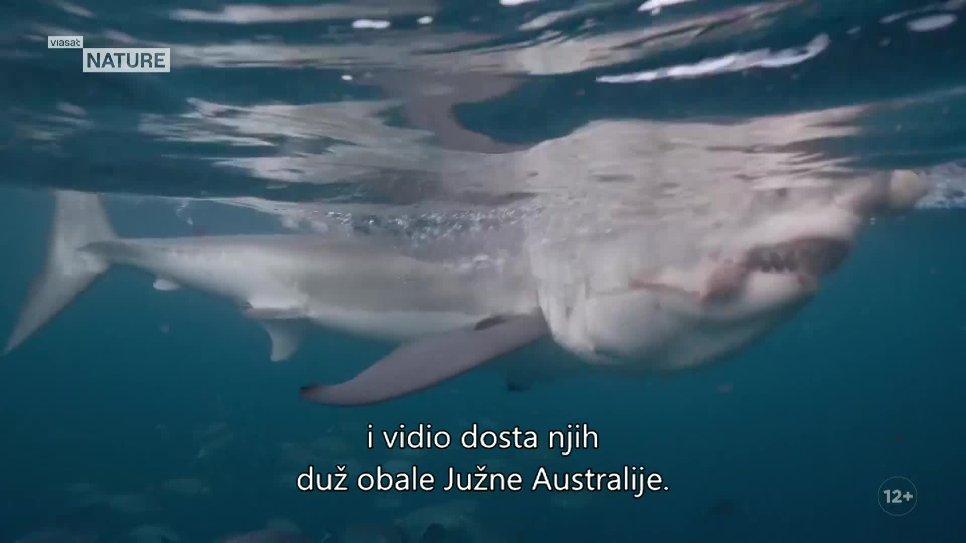 ViasatNature
