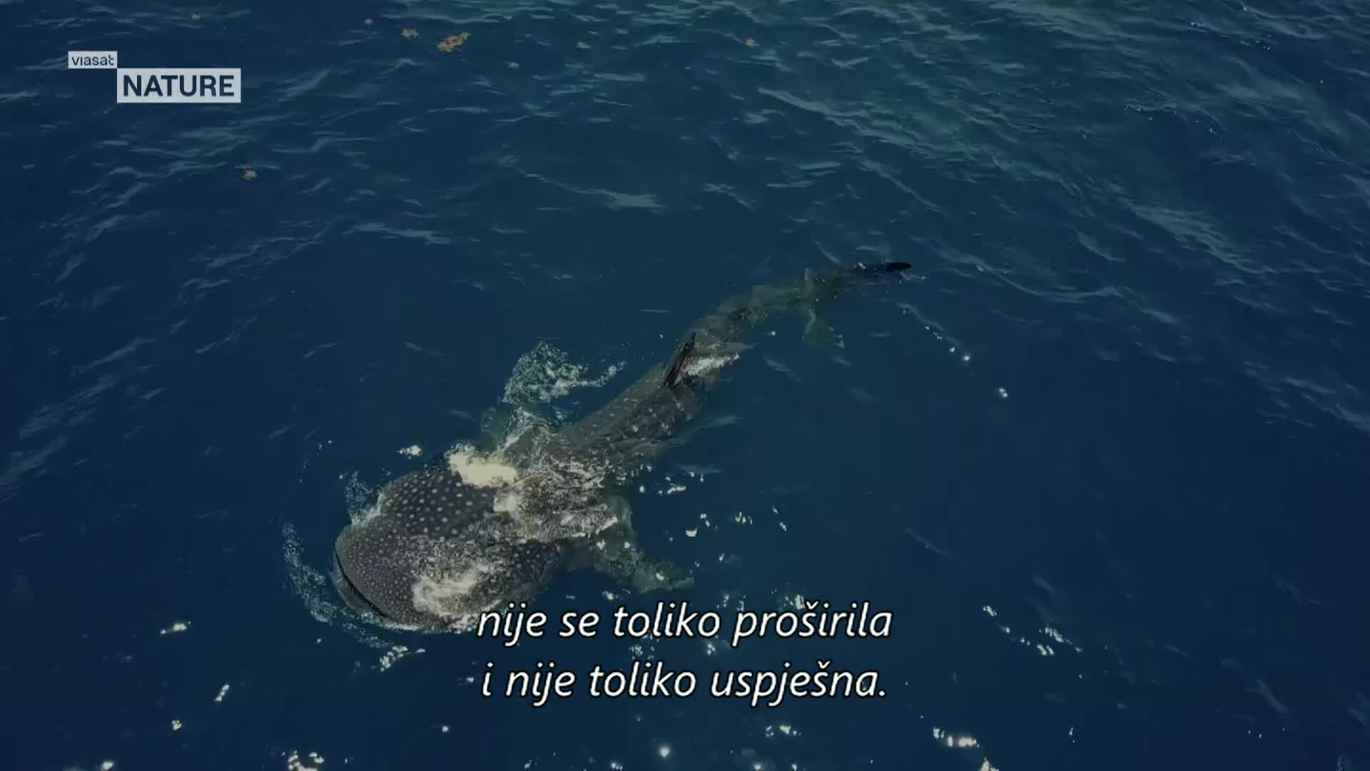 ViasatNature