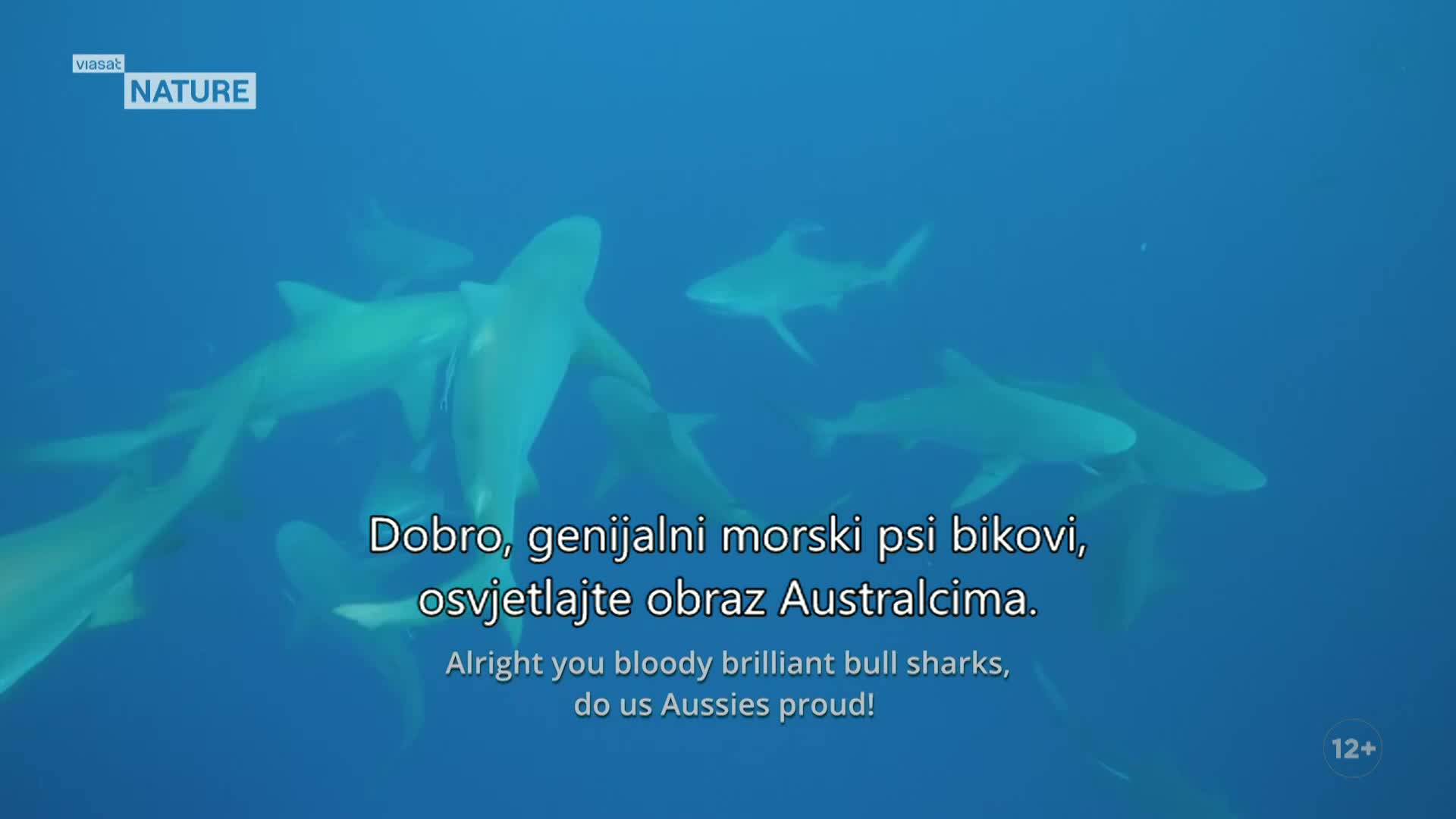 ViasatNature