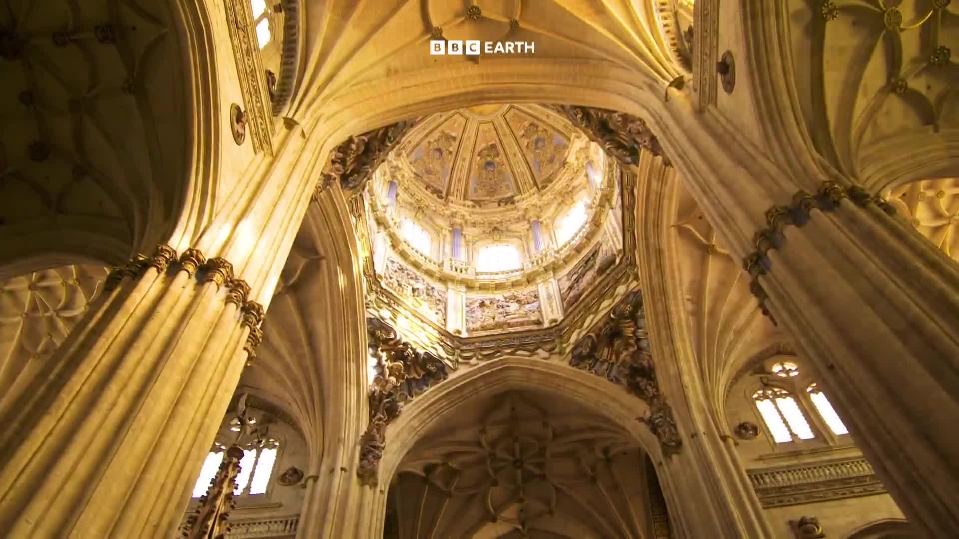BBCEarth