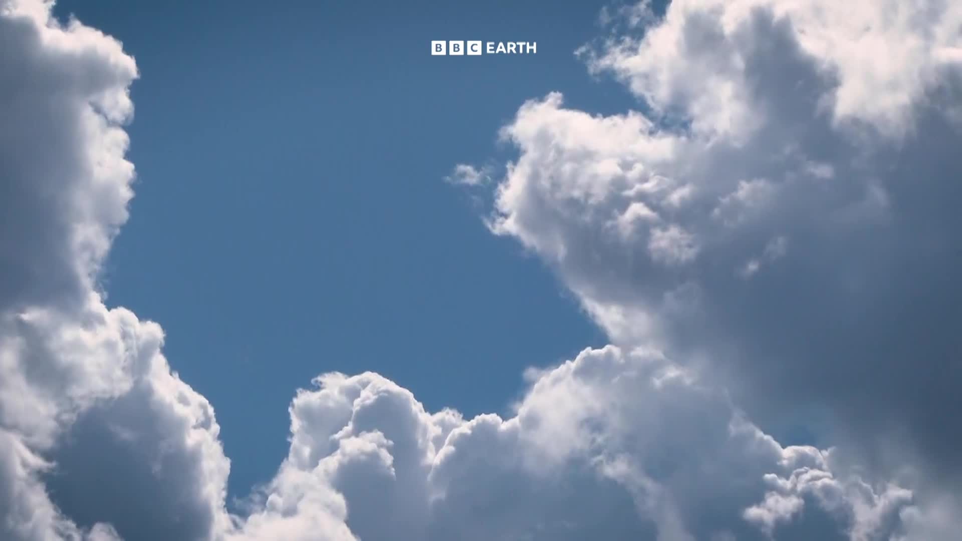 BBCEarth