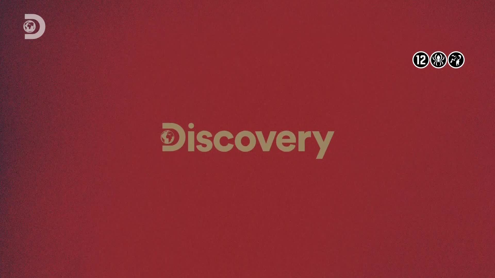 ViasatExplorer