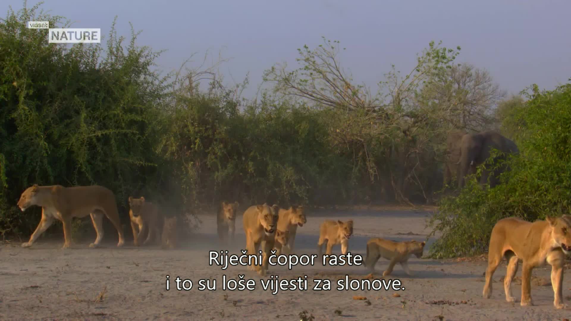 ViasatNature