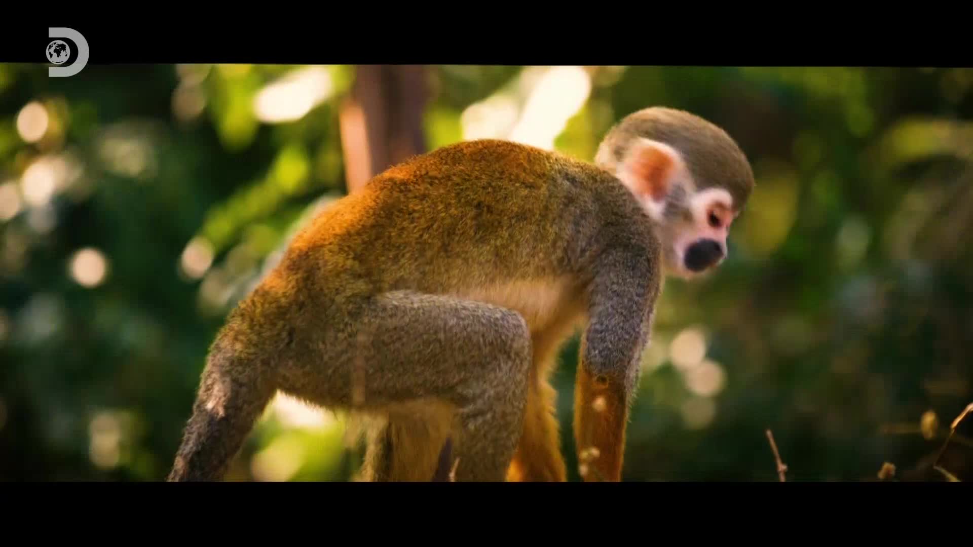 ViasatExplorer
