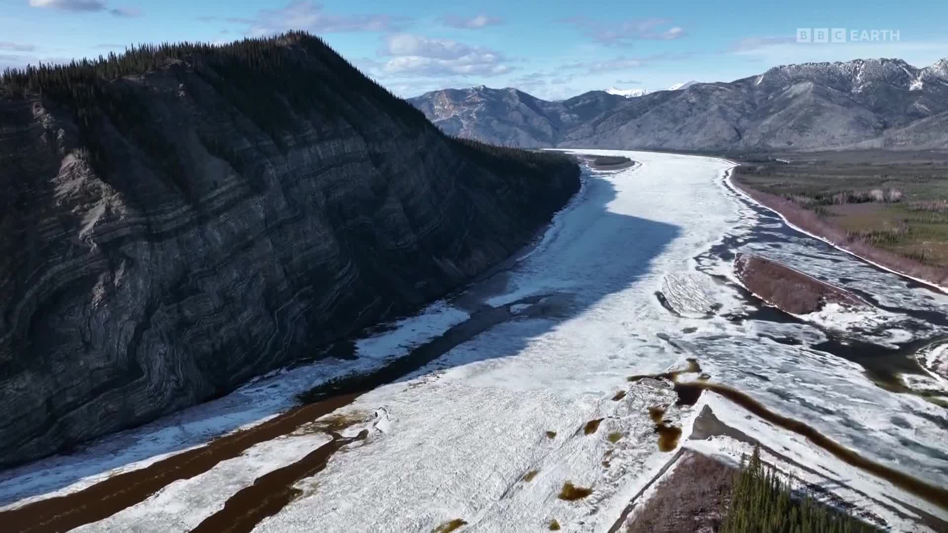 BBCEarth