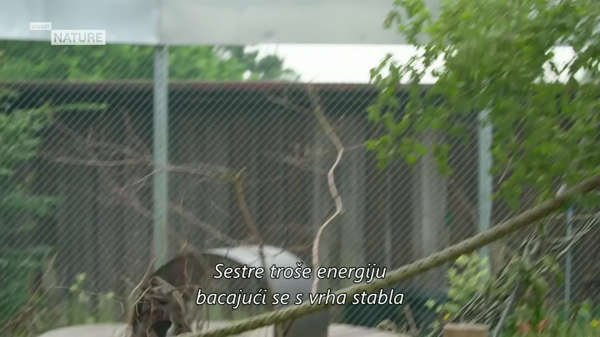 ViasatNature