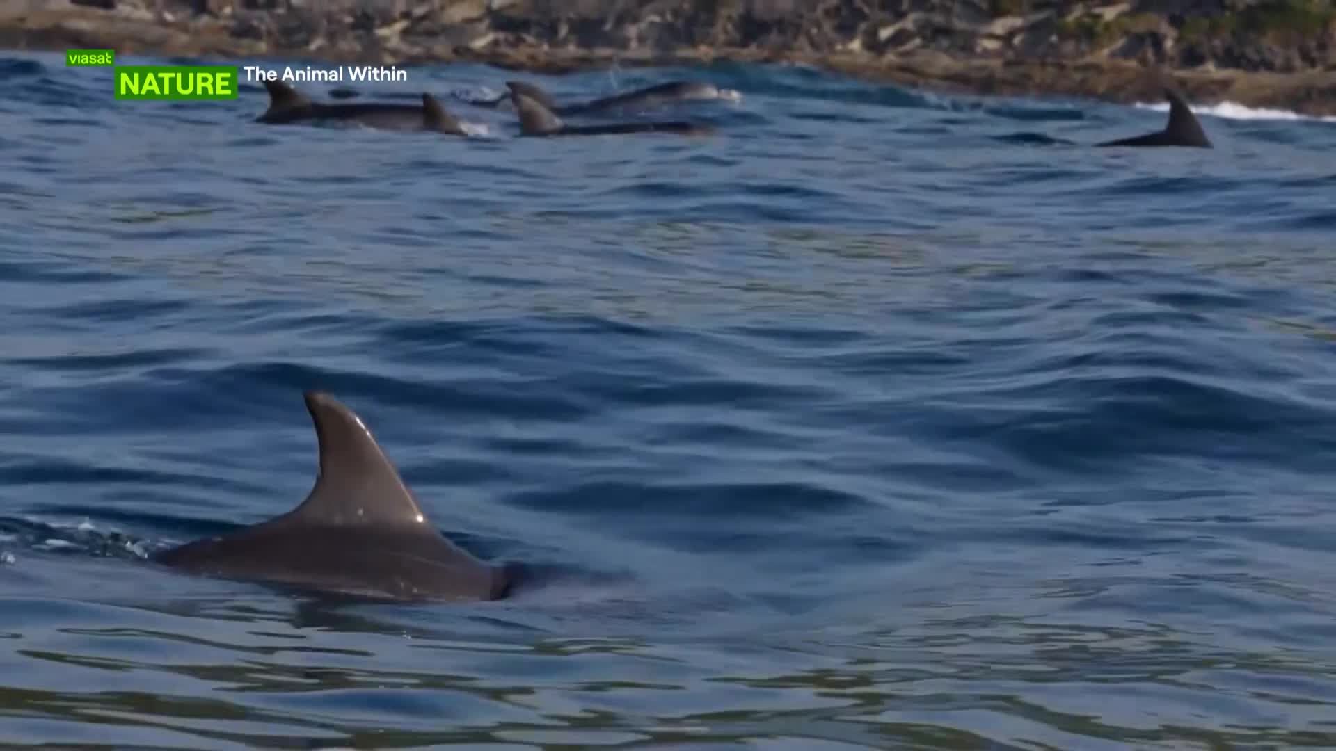 ViasatNature