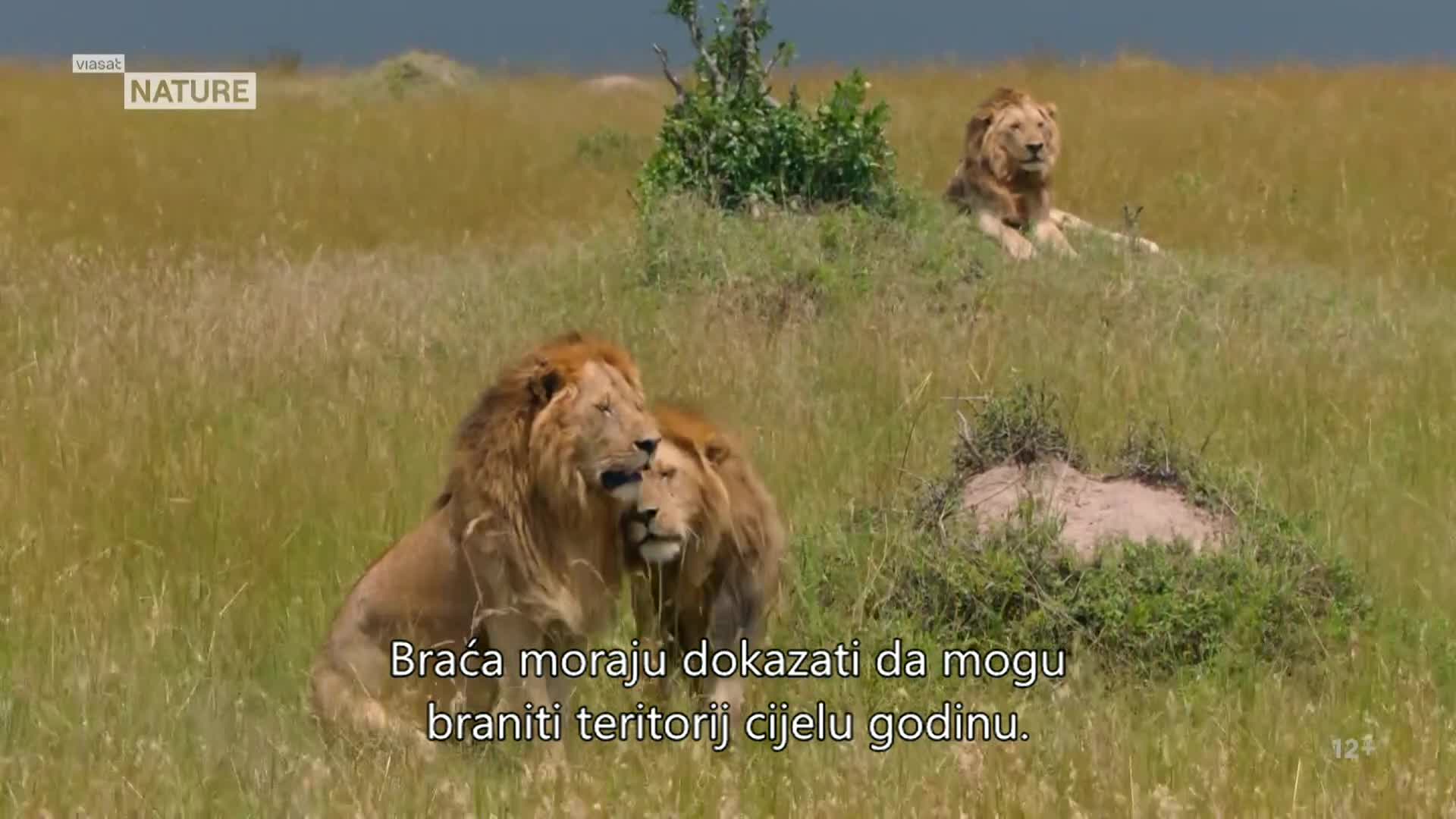 ViasatNature