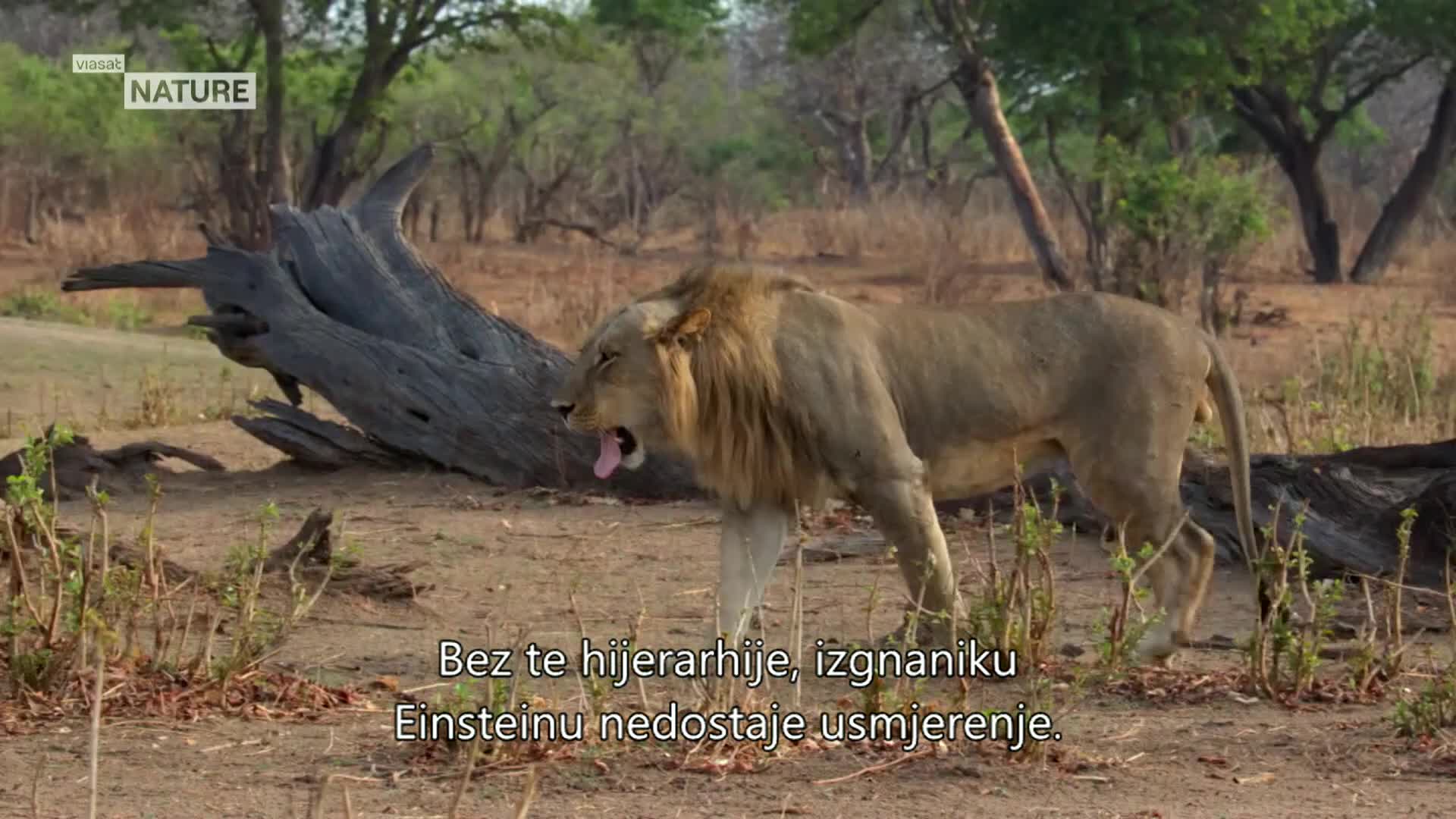 ViasatNature