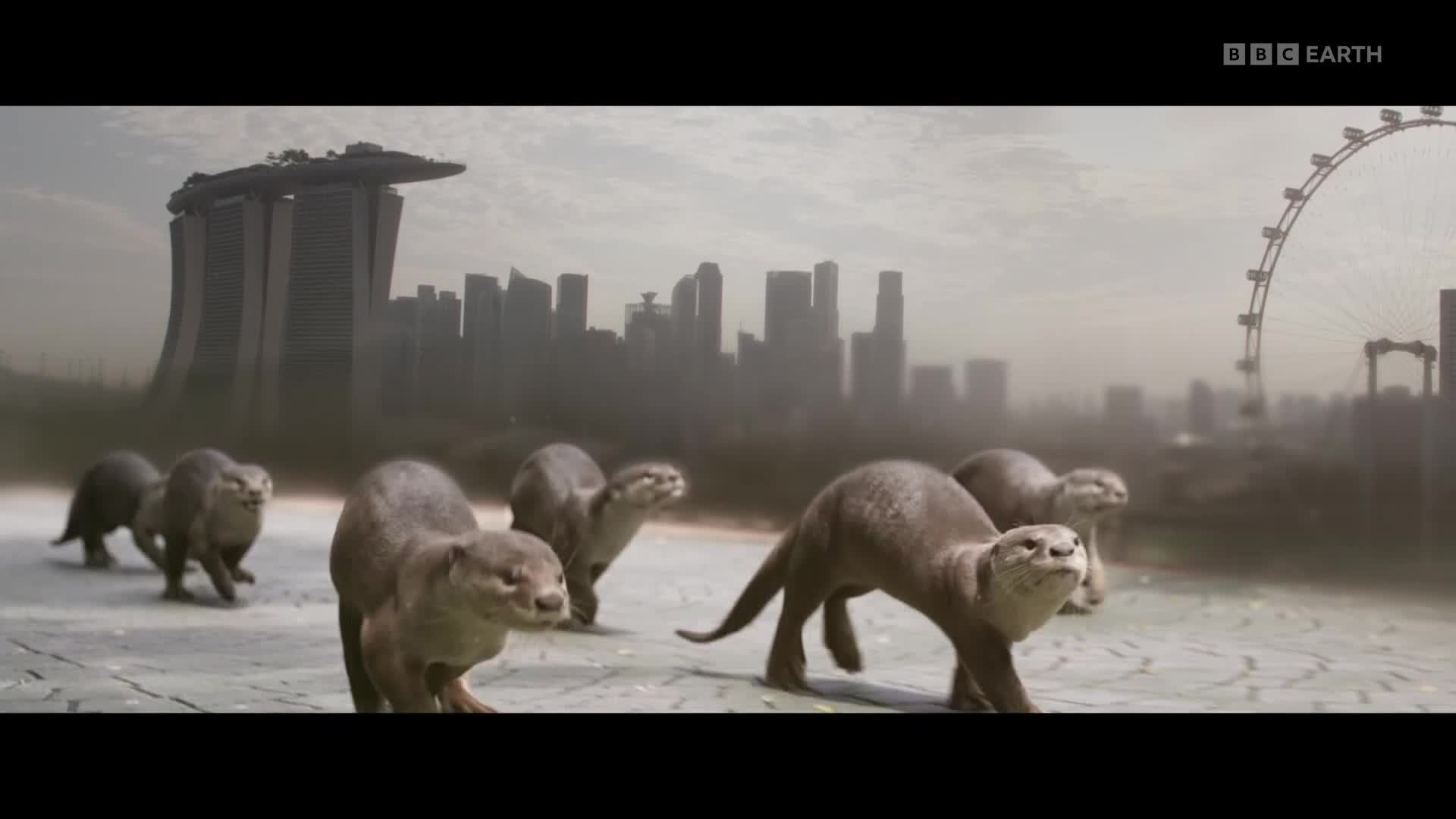 BBCEarth