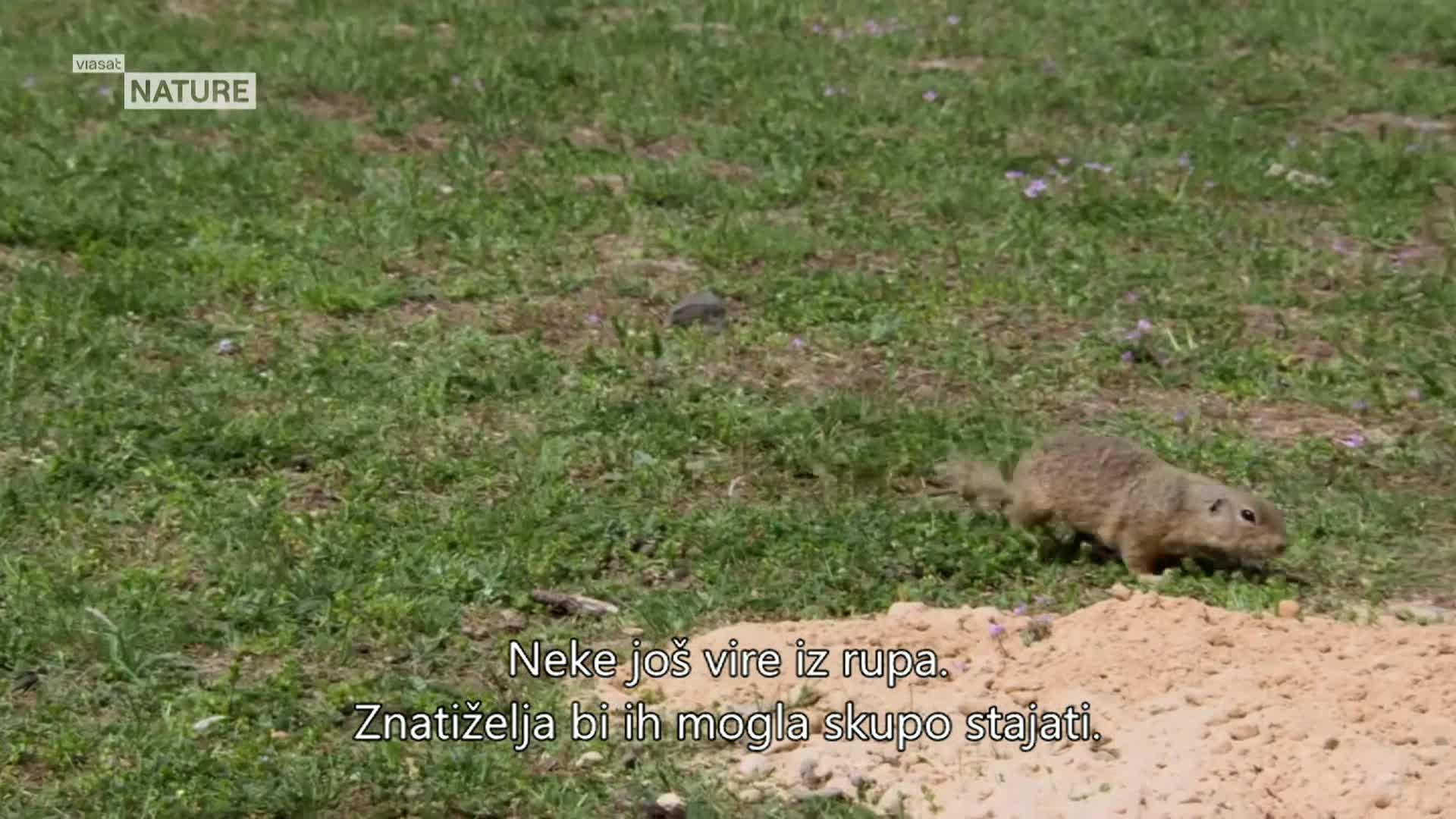 ViasatNature