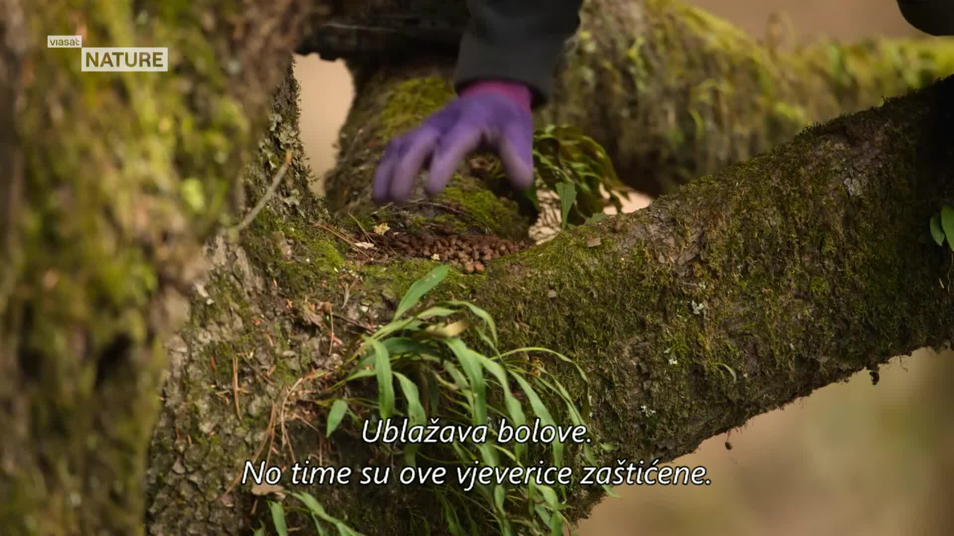 ViasatNature