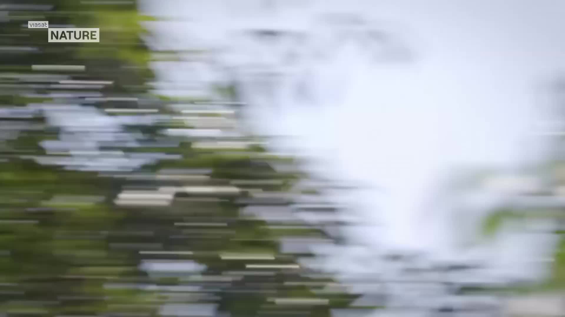 ViasatNature