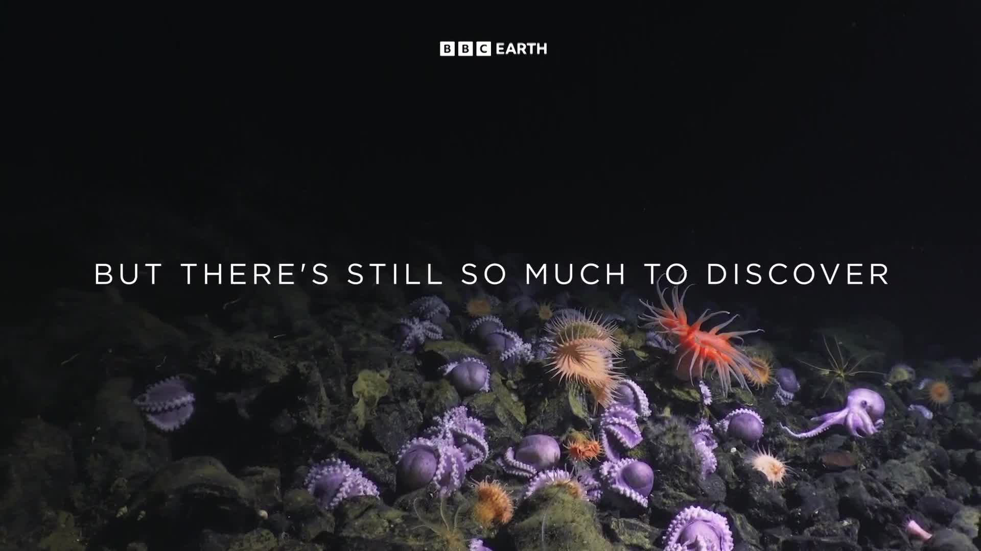 BBCEarth