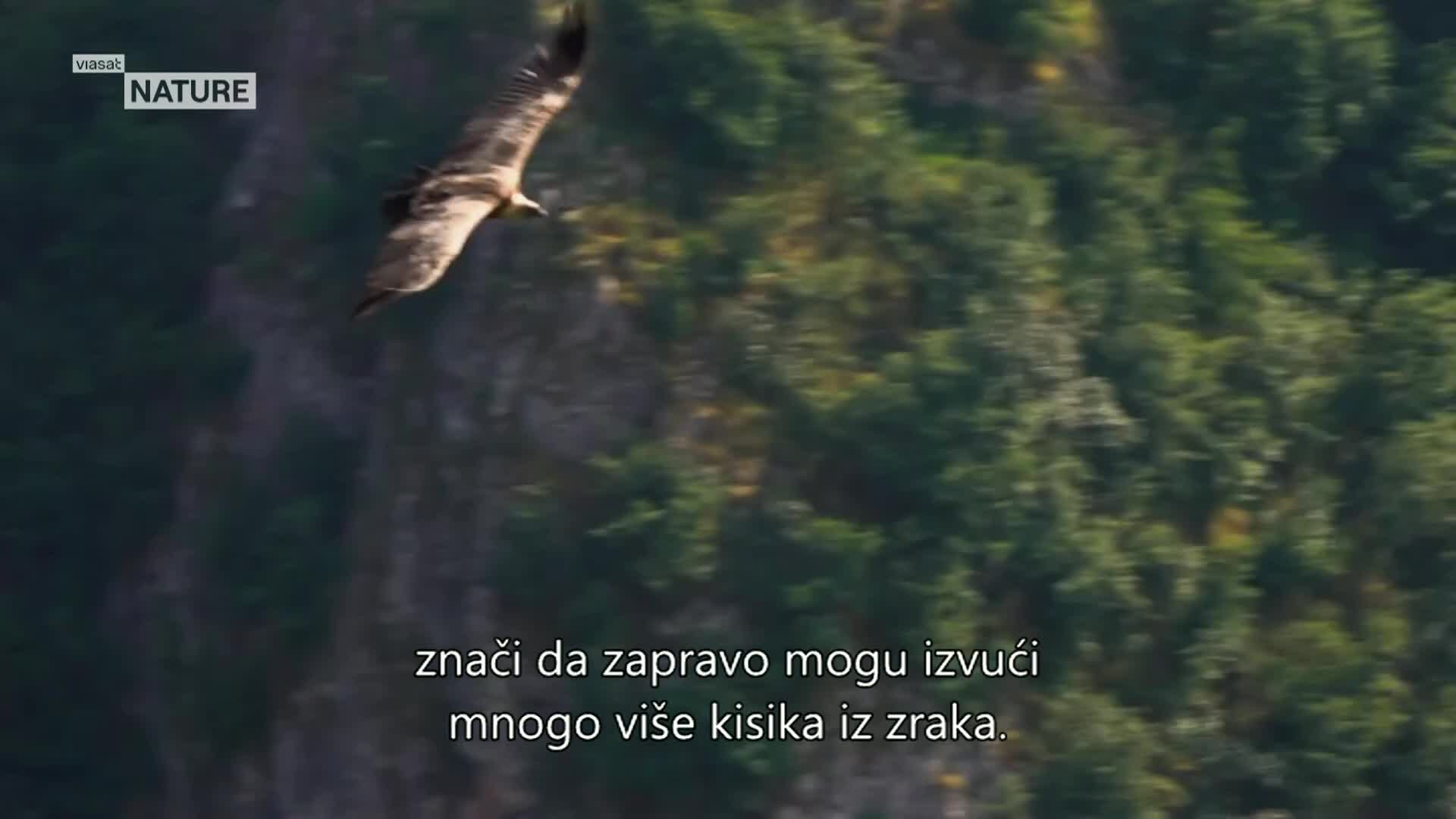 ViasatNature