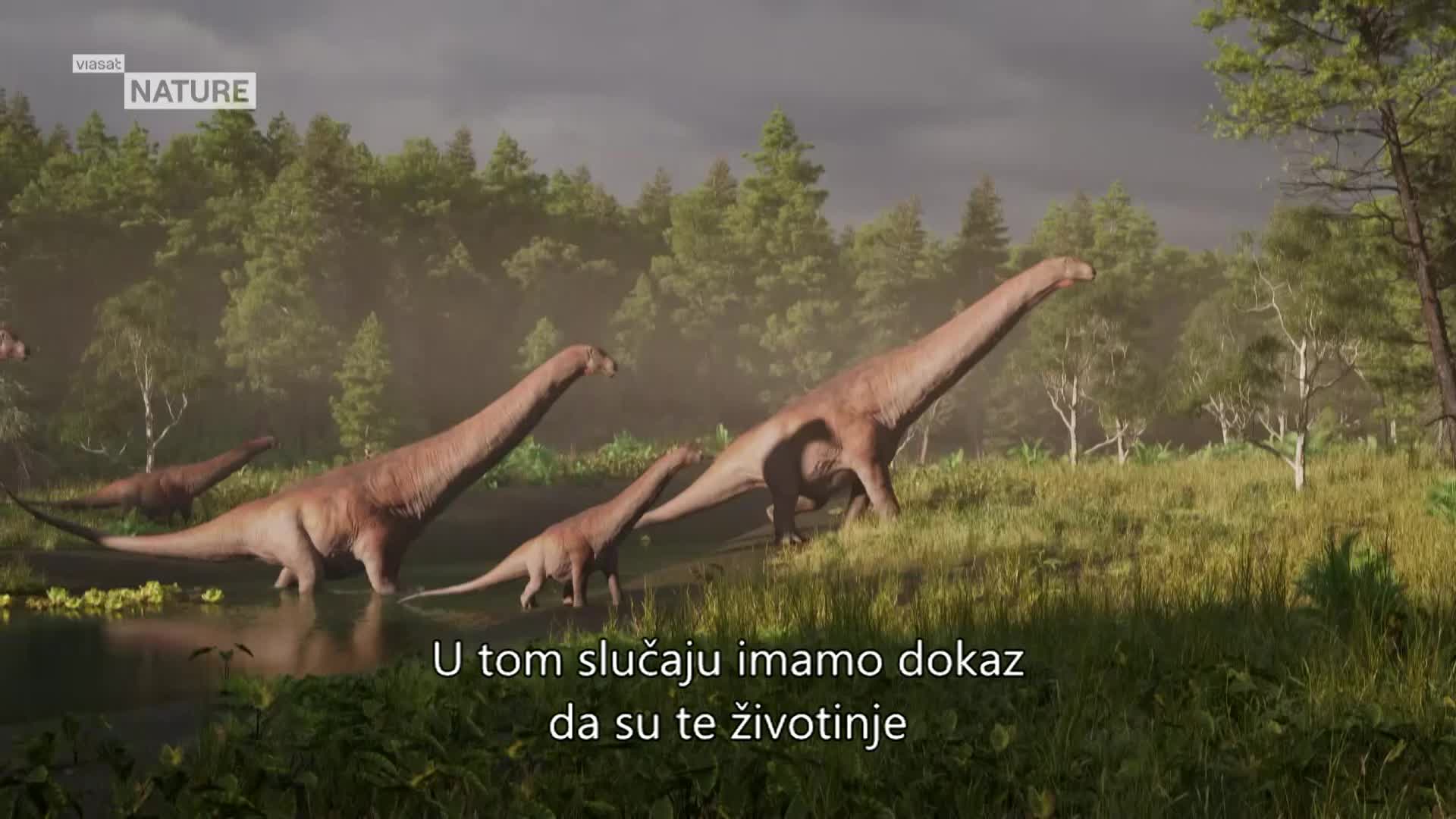 ViasatNature
