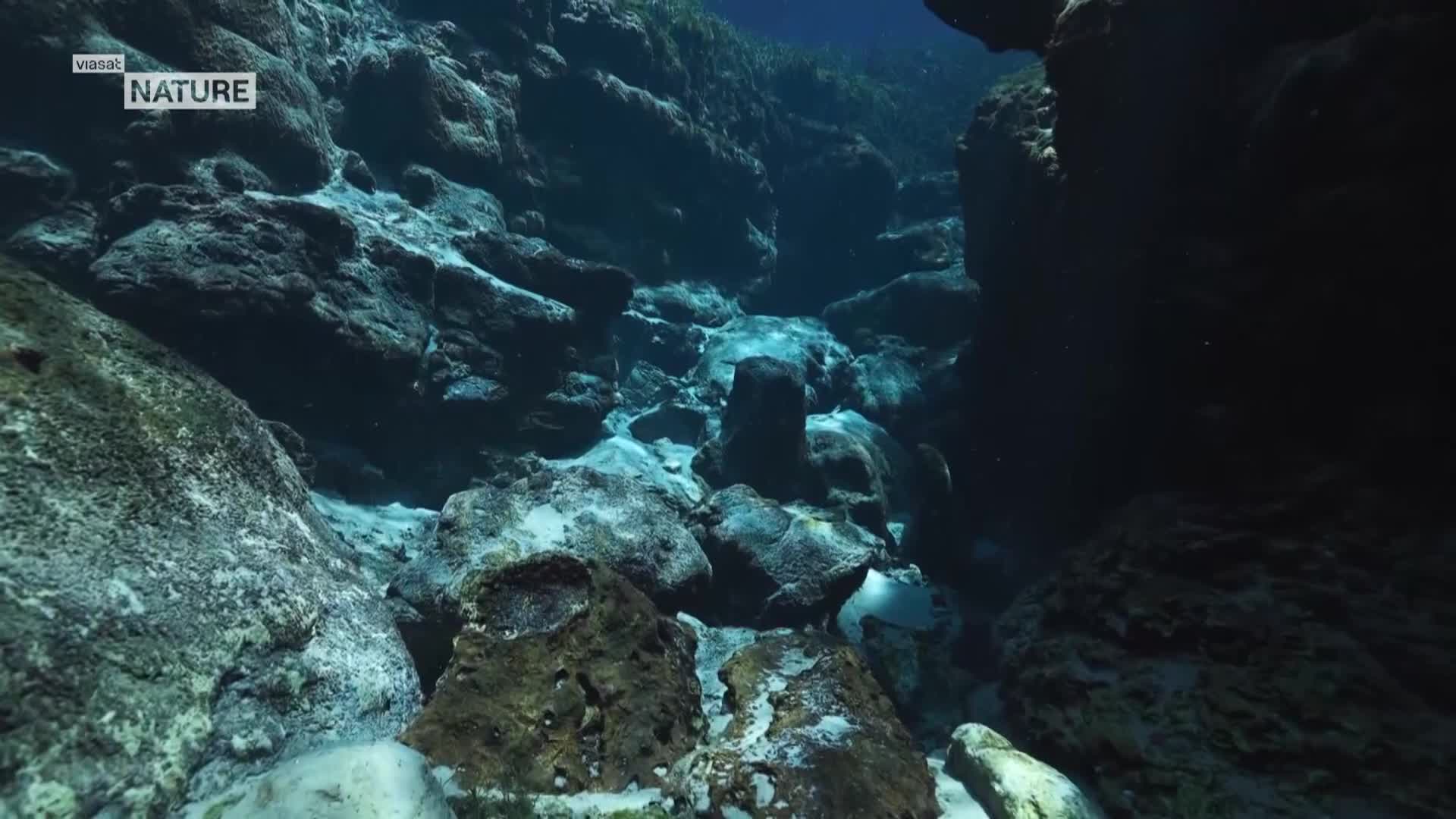 ViasatNature