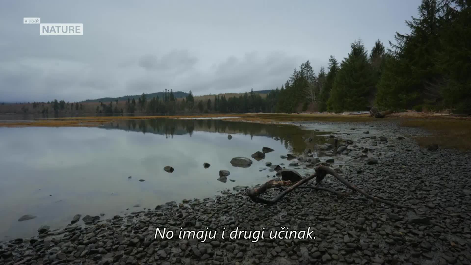 ViasatNature