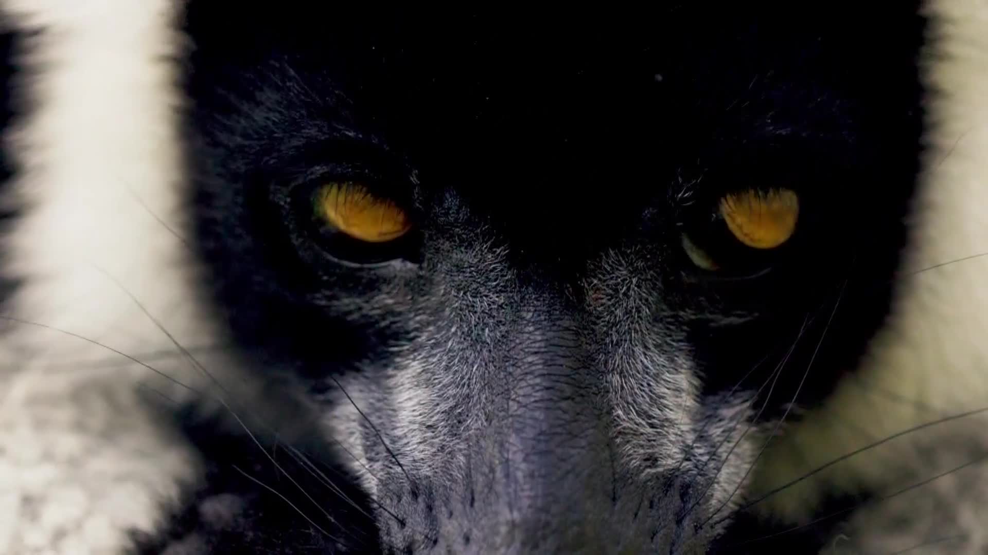 BBCEarth