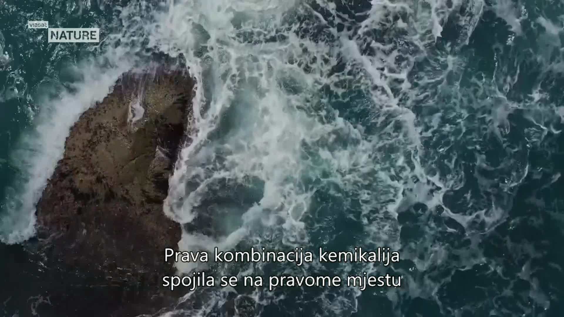 ViasatNature
