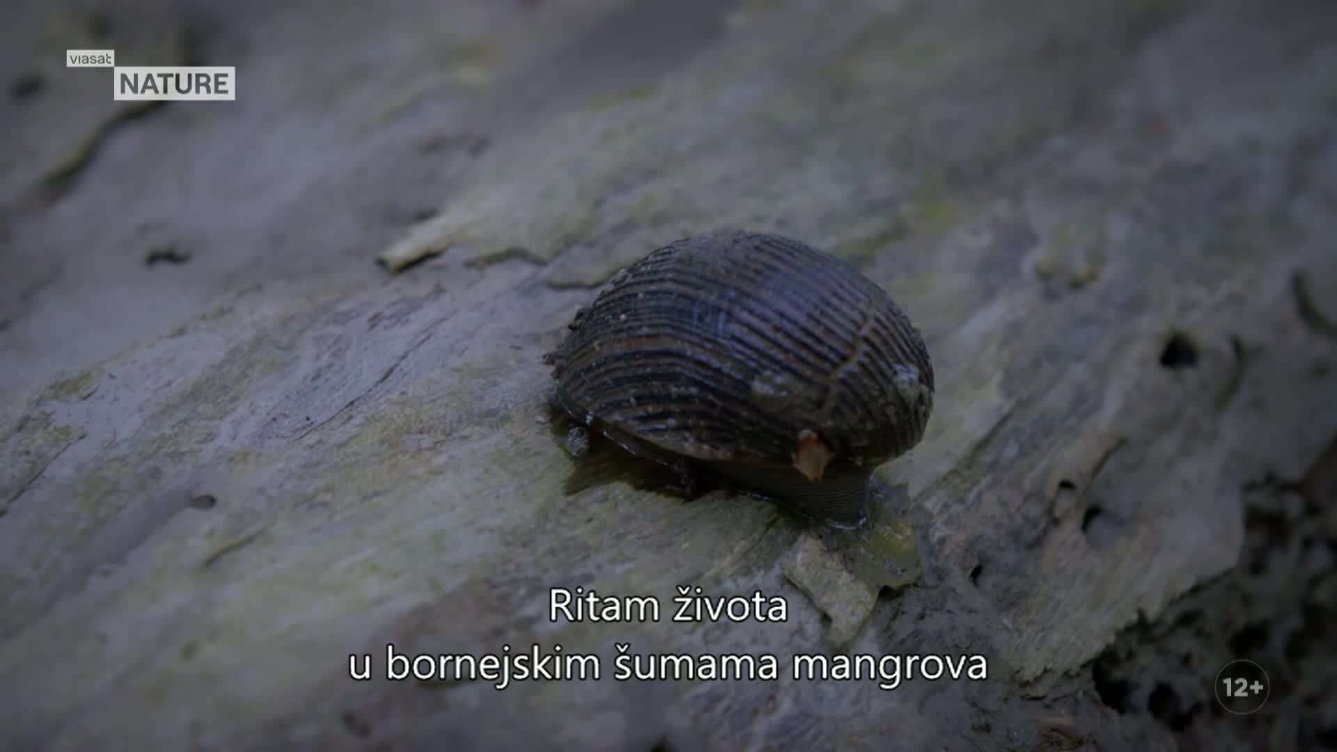 ViasatNature
