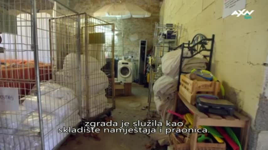 AXNSpin