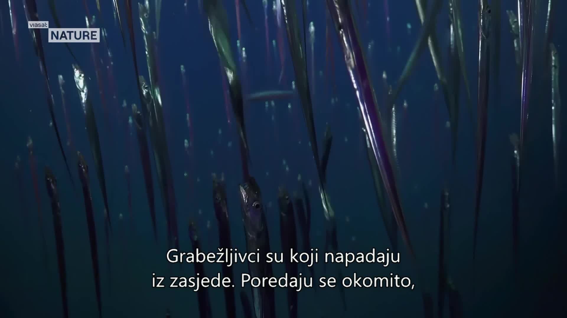 ViasatNature