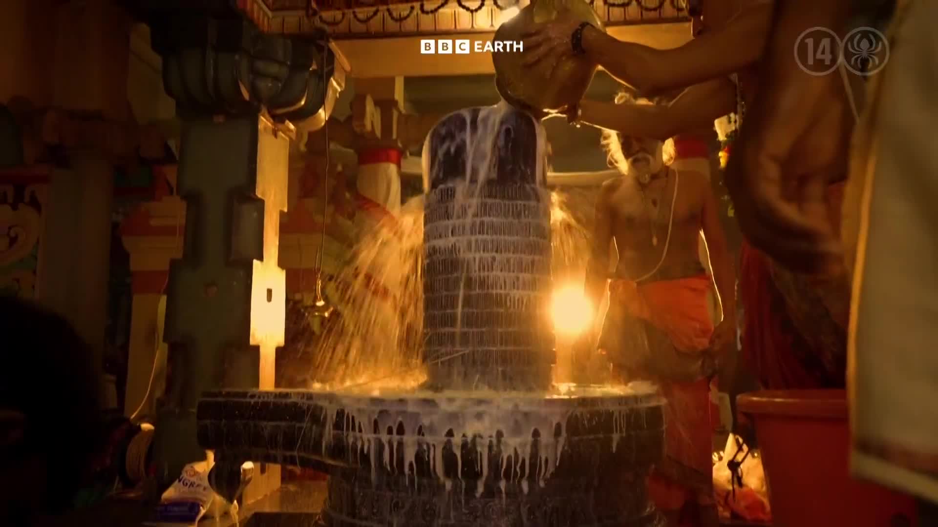 BBCEarth