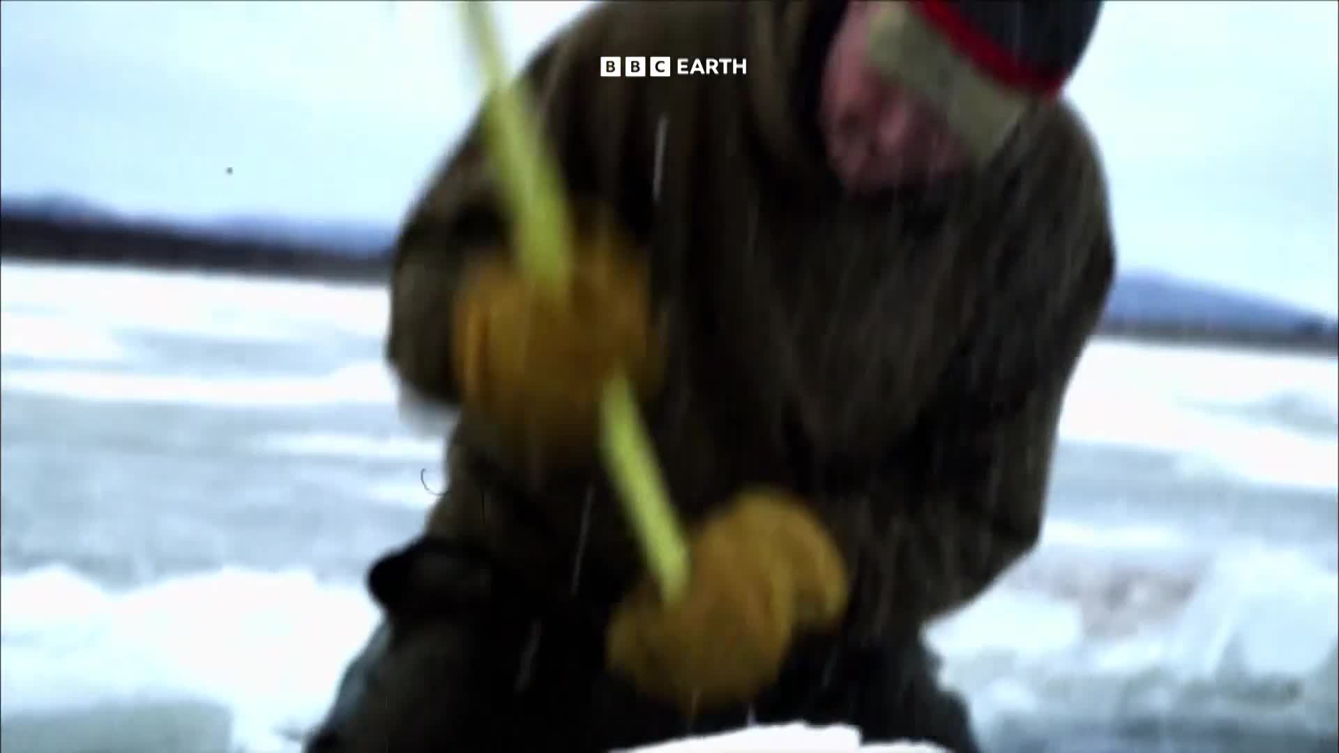 BBCEarth