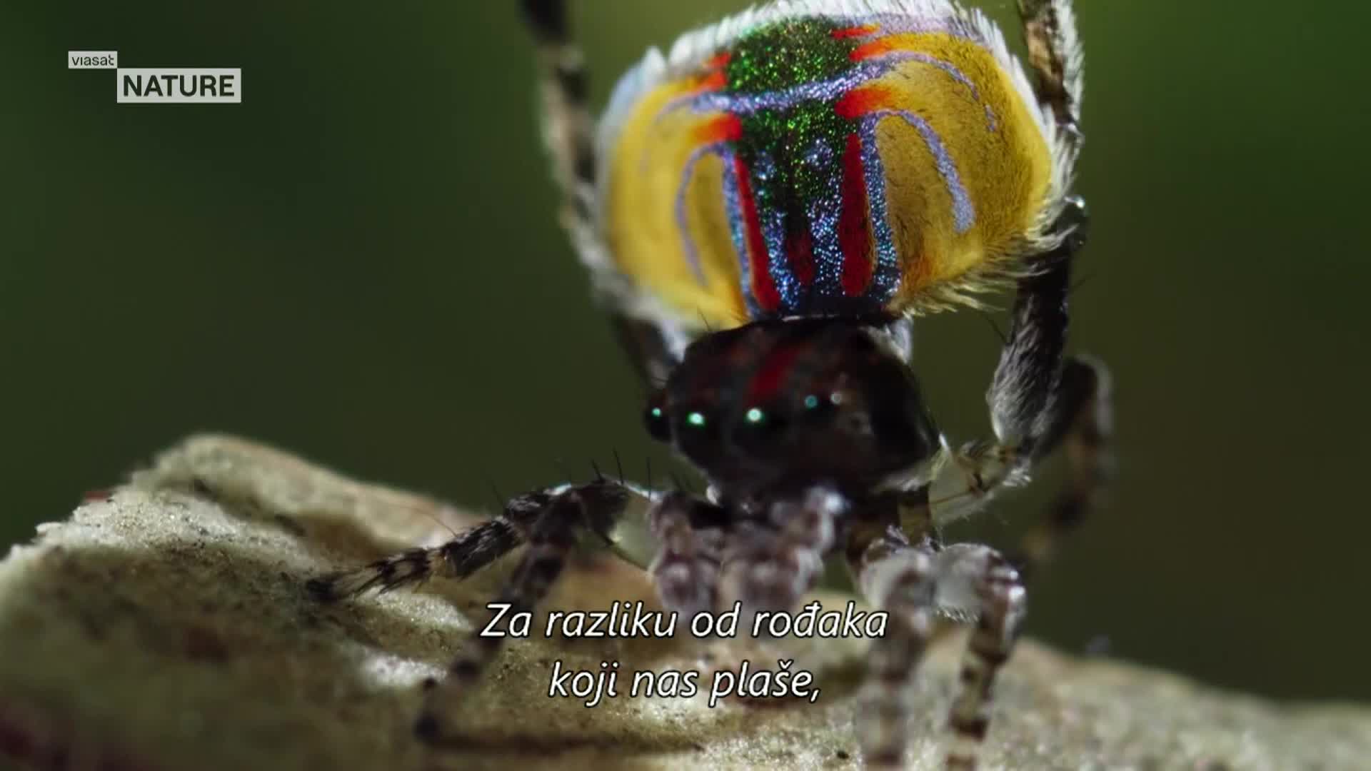 ViasatNature