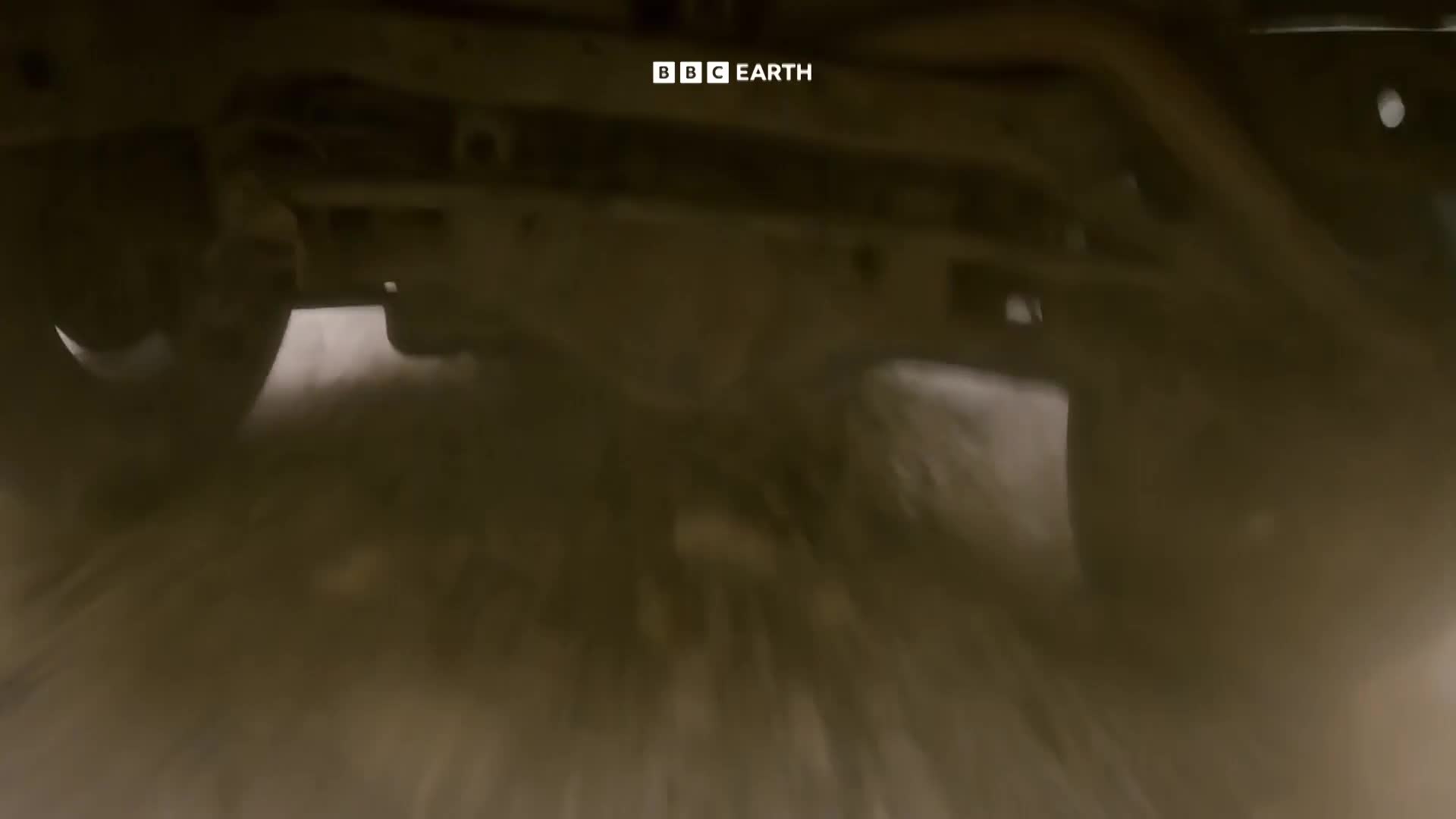BBCEarth