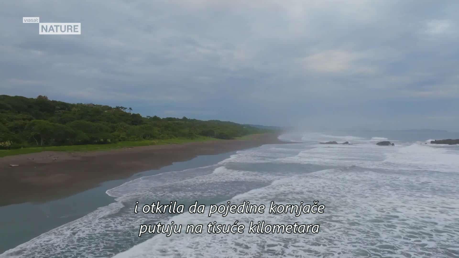 ViasatNature